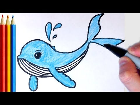 (fast-version) How to Draw a blue Whale - Step by Step Tutorial - YouTube