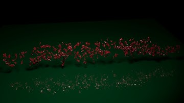 MMS 176 Final Project