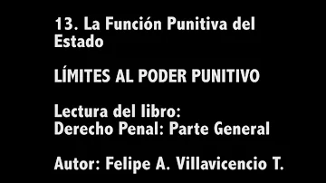 ¿Qué es la función punitiva estatal?