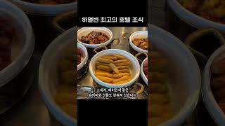 하얼빈에서 가장 좋은 호텔이라고요