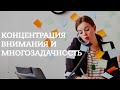 Концентрация внимания и многозадачность: гормональные причины, влияние на мозг и продуктивность