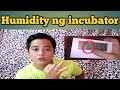 Gaano ka-importante ang HUMIDITY sa loob ng incubator