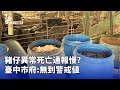 豬仔異常死亡事件