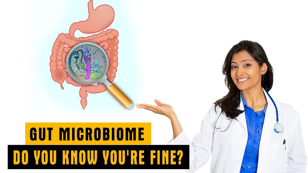 Gut Microbiome - The Secret to Increasing the Diversity of Gut Microbes ...