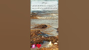 من كان يريد العزة فلله العزة جميعا | سورة فاطر #دعاء_ورسالة