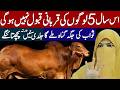 Is Saal 5 Logon Ki Qurbani Qbool Na Hogi | Qurbani Special Bayan | Alima Jannat Exclusive | Eid 2026