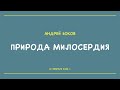 "Природа милосердия" – проповедь Андрея Бокова 12 февраля