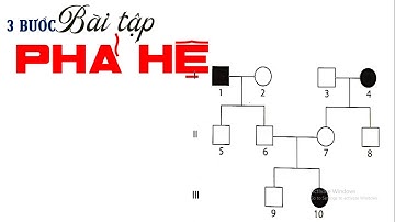 3 BƯỚC CƠ BẢN LÀM BÀI TẬP PHẢ HỆ | SINH HỌC THPT