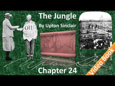 Chapter 24 - The Jungle by Upton Sinclair