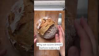 Why do we score bread dough before baking it? #breadrecipe  #breadscoring #bread