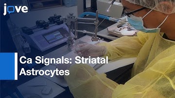 Genetically Enocded Ca Indicators: Imaging Intracellular Ca Signals