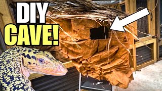 Building the Perfect Reptile Cave for My Monitor Lizard! (DIY)