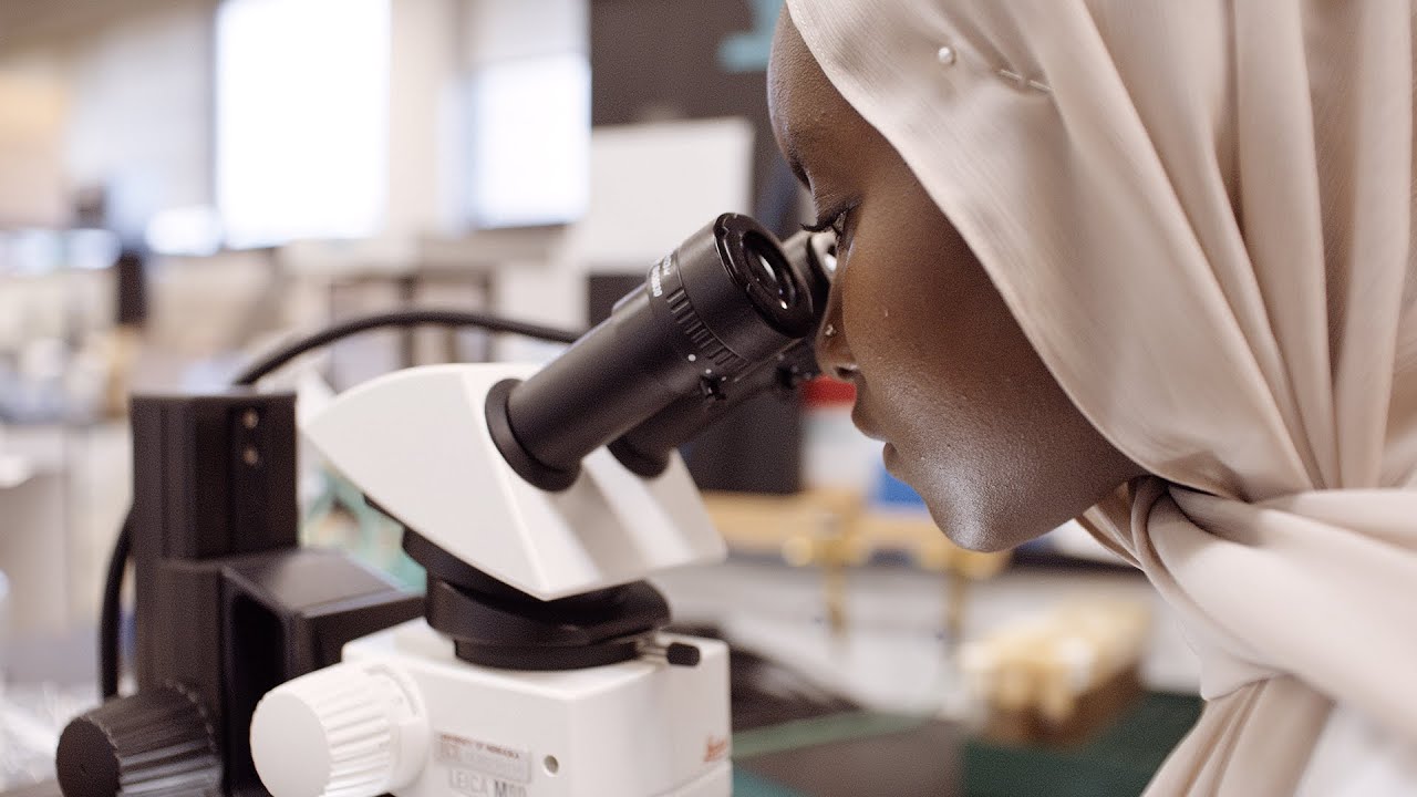 Inclusive Excellence in Student Success: STEM-POWER Research Mentored ...