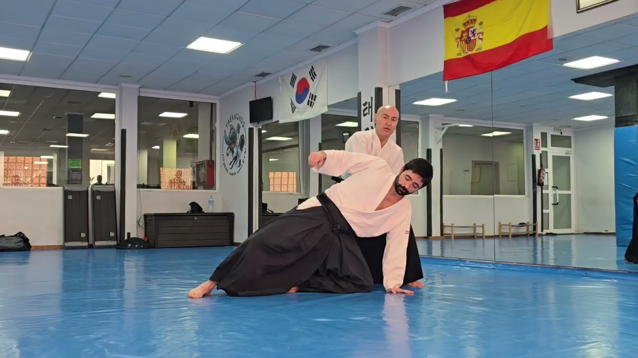 Aikido Sevilleja. Ai Hanmi Katate Dori - Irimi Nage. Explicación detallada.