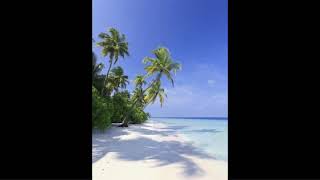 [FREE] Tropical Type Beat - 