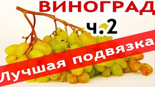 Лучшая подвязка винограда, ЧАСТЬ 2 || Как Подвязывать Виноград к Шпалере?