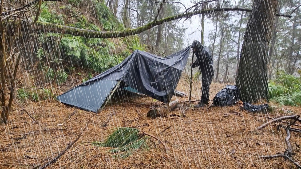2 Day Heavy Rain Bushcraft - Shelter, Fire & Foraging - YouTube