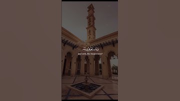 سورة : المائدة - Al-Mā’idah  - الجزء : ( 6 )  -  الصفحة: ( 120 )