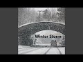 Winter Storm