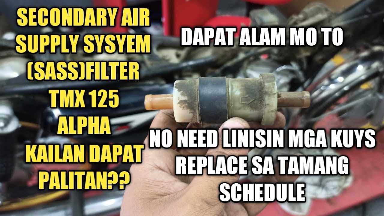 TMX 125 ALPHA SECONDARY AIR SUPPLY SYSTEM(SASS)FILTER