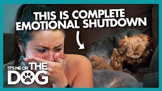 Dog in Distress Shuts Down Emotionally | It's Me or the Dog