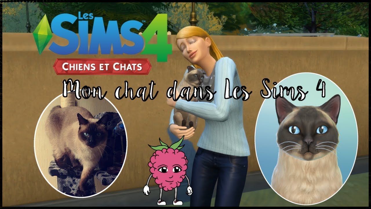 Les Sims 4 CHIENS ET CHATS Je recrée mon chat ! YouTube