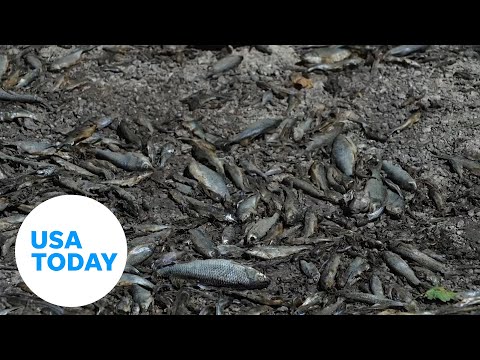 Severe drought in Burgundy, France, causes river to run dry | USA TODAY