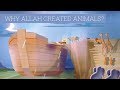 WHY ALLAH CREATED ANIMALS?