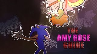 The Real Way To Play Amy Rose Outcome Memories Guide