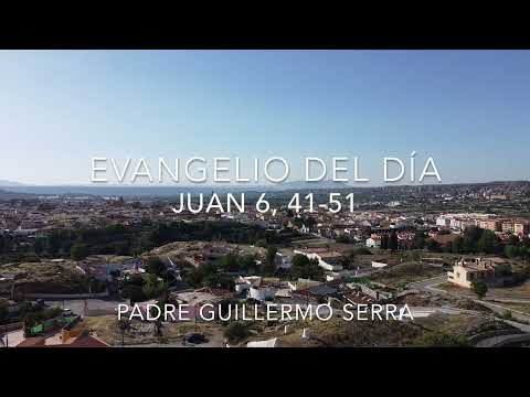 ✴️ EVANGELIO de HOY 8 de Agosto 📌 PADRE GUILLERMO SERRA - JUAN 6, 41-51