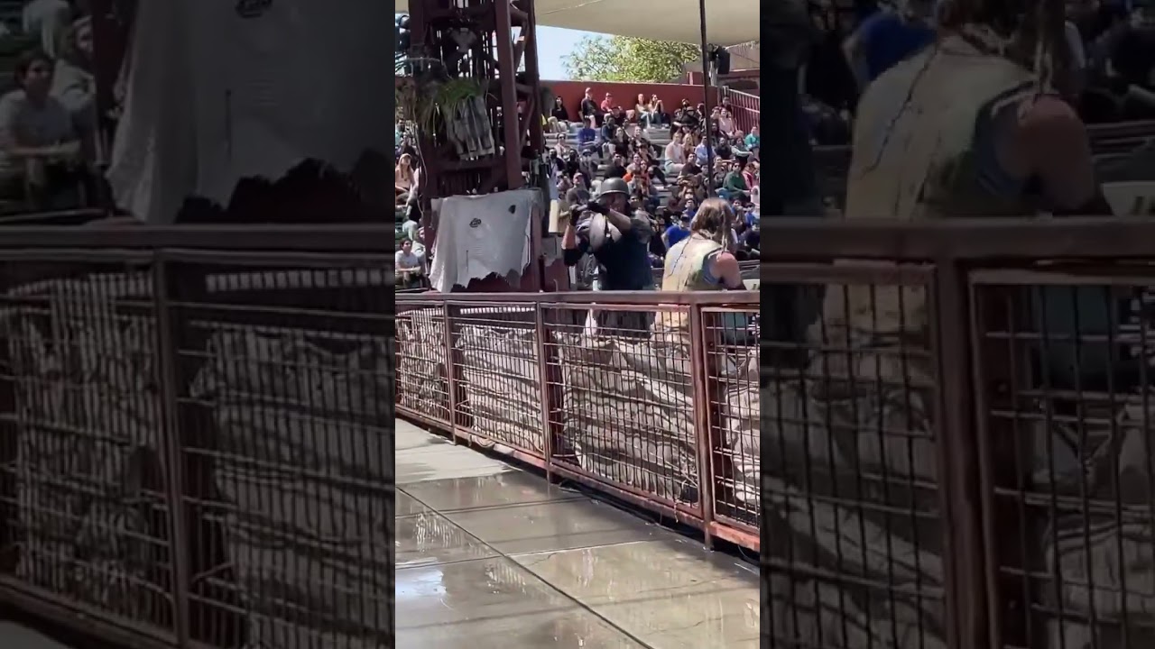 Waterworld number 1 rated show at Universal Studios Hollywood 