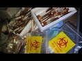 Abandoned animal testing facility  found biohazardous samples