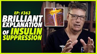 Ep:363 BRILLIANT EXPLANATION OF INSULIN SUPPRESSION - @BENBIKMAN