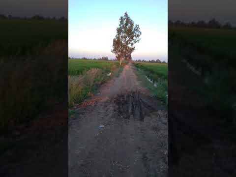 ٢٧ قيراط للبيع في الرغام