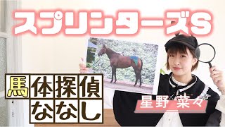 【スプリンターズS】秋のGIシリーズ開幕！星野菜々の馬体チェック