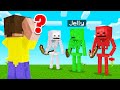 Which SKELETON Is The REAL JELLY? (Minecraft Guess Who)