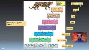 Taxonomy, Phylogeny and Systematics