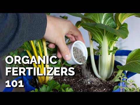 14 Organic Fertilizers and How to Use