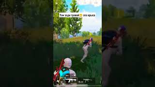 крыса🤣🤣#pubgmobile