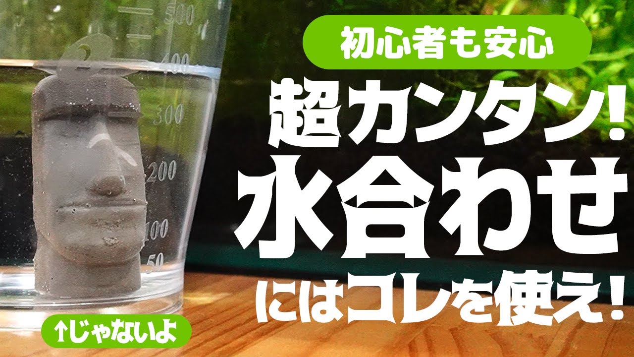 初心者向け 簡単に水合わせをするならコレを使え 水合わせの方法をわかりやすく解説します アクアリウム Youtube