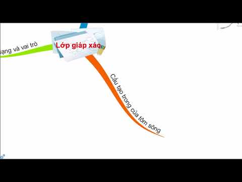 Ôn tập HKI - Lớp giáp xác - Sinh học 7 - Hoc24.vn