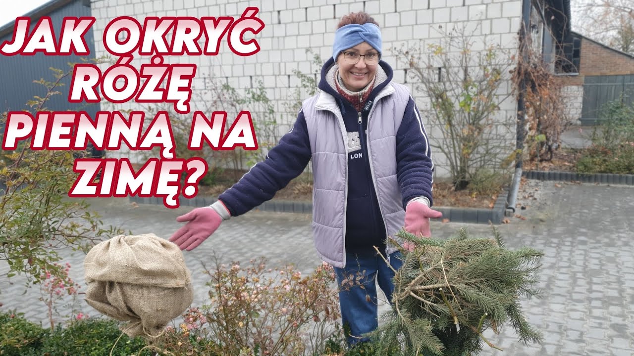 Jak zabezpieczyć róże pienne na zimę? 3 SPRAWDZONE SPOSOBY || Rozaria.pl