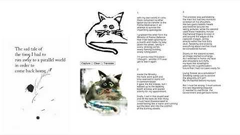 Ministry of Feline Defence - Data & Machine Learning (Pix2Pix)