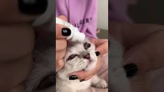 Treating Baby's Eyes