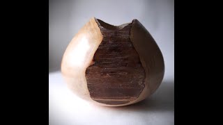 Woodturning Amazing hollow form from a beautiful Dasiy tree.