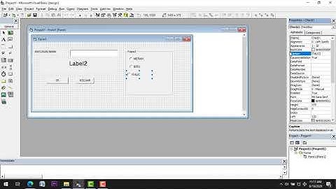 Pemrograman visual basic menggunakan toolbox checkbox dan optionbutton