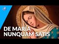 De María nunquam satis | Perseverancia - P. Gustavo Lombardo