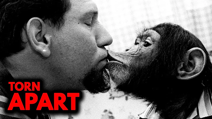 Top 3 Most TERRIFYING Animal Horror Stories *MATUR...