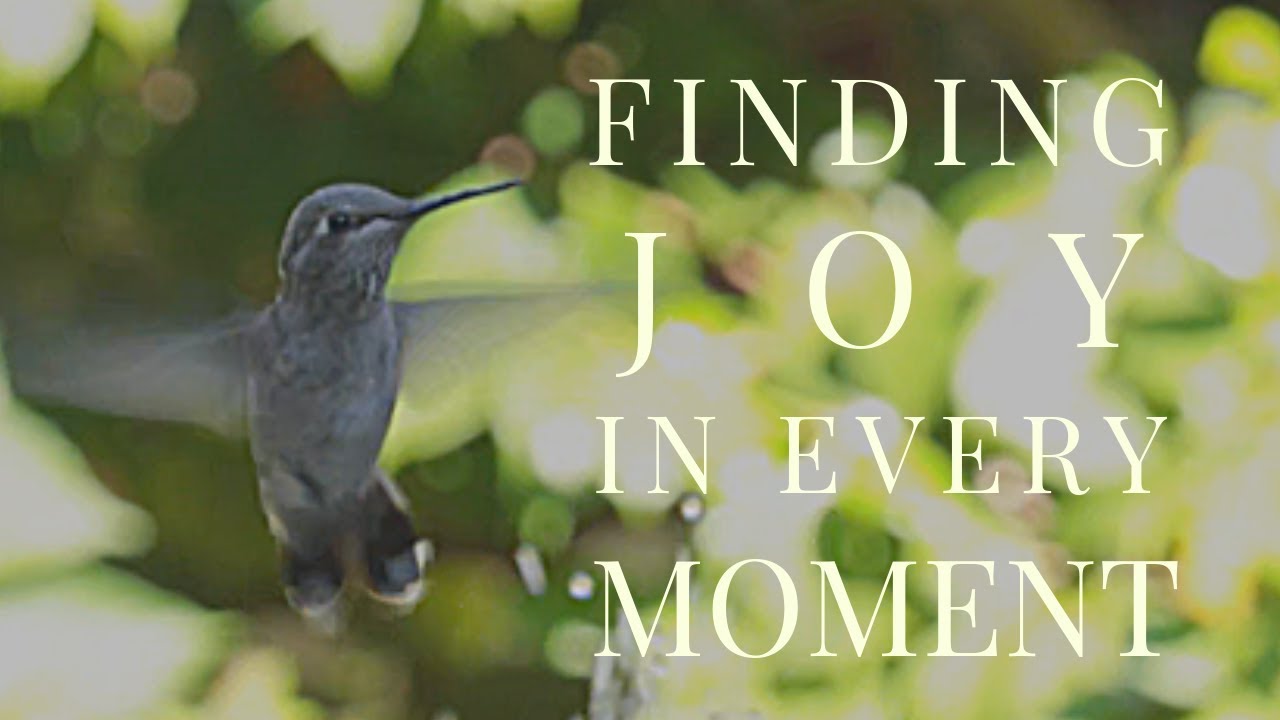 Miranda Macpherson - How to Find Joy in Every Moment