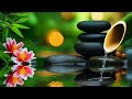 Relaxing Music for Sleep, Focus and Healing 🌿 Calming Nature Sounds for Work, Meditation and Peace